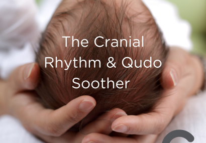 babies head being held by adult hands